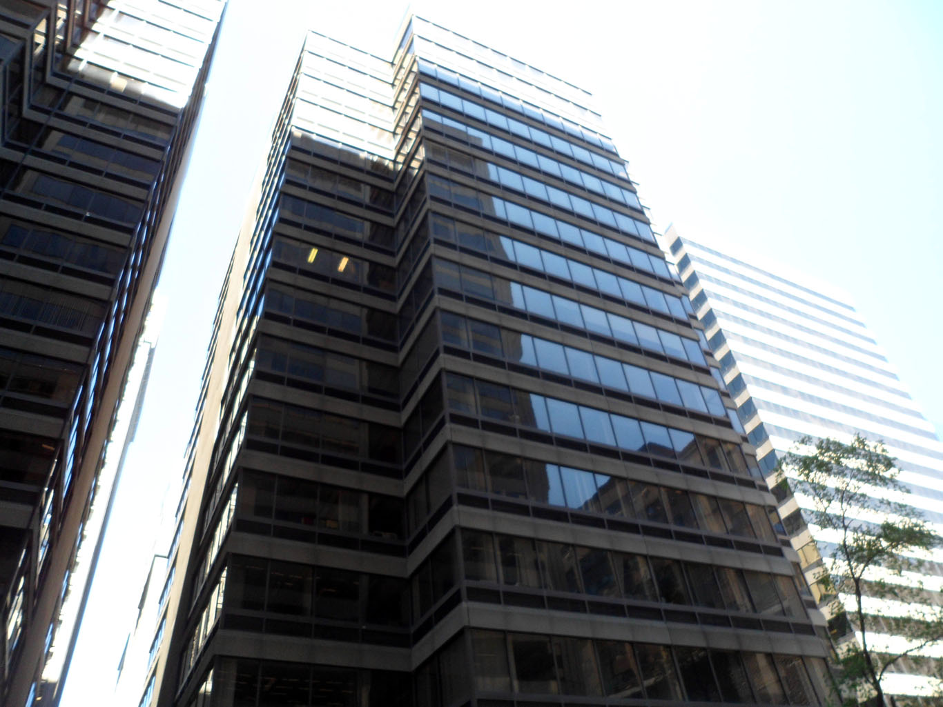 Caron Professional and Linguistic Training - Montr